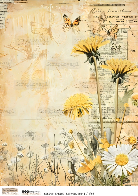 YELLOW SPRING BACKGROUND 4 :4186-1.jpg