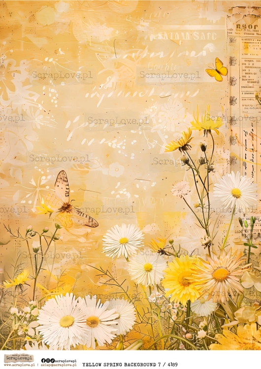 YELLOW SPRING BACKGROUND 7 :4189-1.jpg