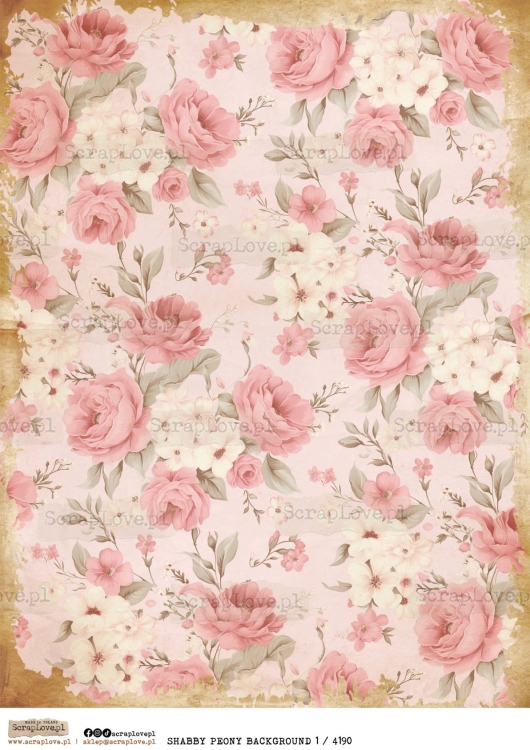 SHABBY PEONY BACK 1 : 4190-1.jpg