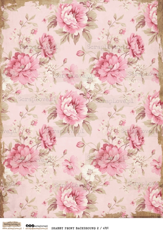 SHABBY PEONY BACK 2 : 4191-1.jpg