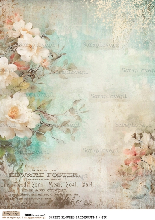 SHABBY FLOWERS BACKGROUND 2 : 4195-1.jpg