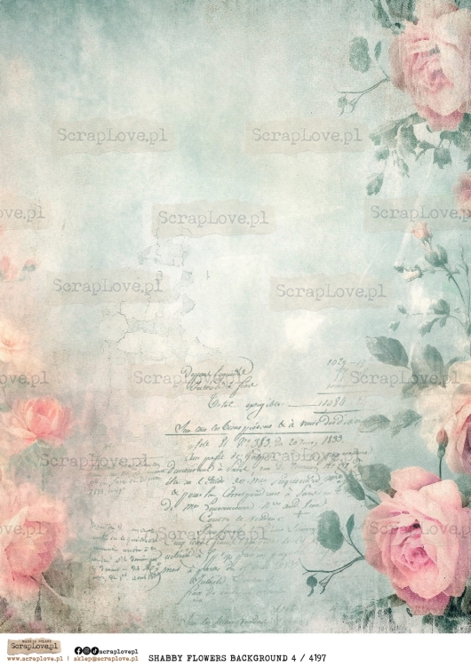 SHABBY FLOWERS BACKGROUND 4 : 4197-1.jpg