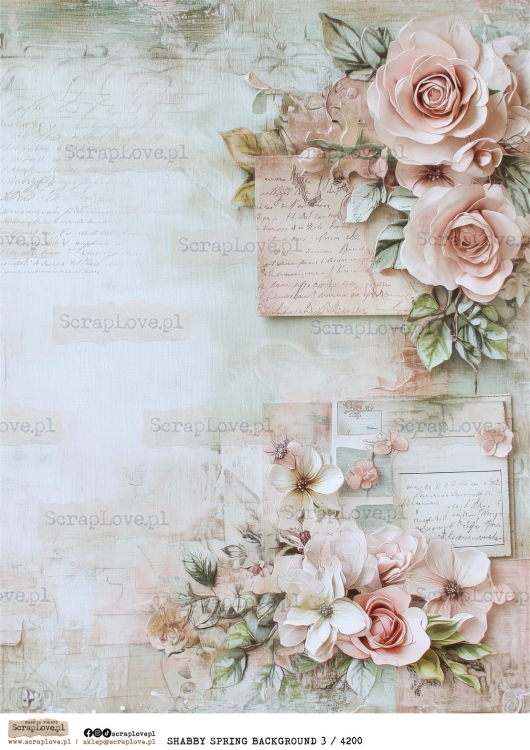 SHABBY spring BACKGROUND 3 : 4200-1.jpg