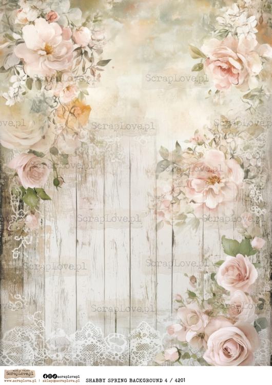SHABBY spring BACKGROUND 4 : 4201-1.jpg