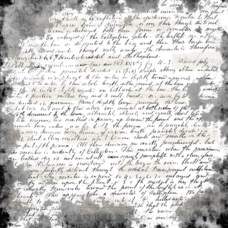distress background 4-1.jpg