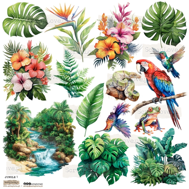 jungle 1p Duży.jpeg