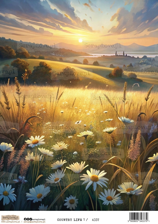 country life 1-1.jpg