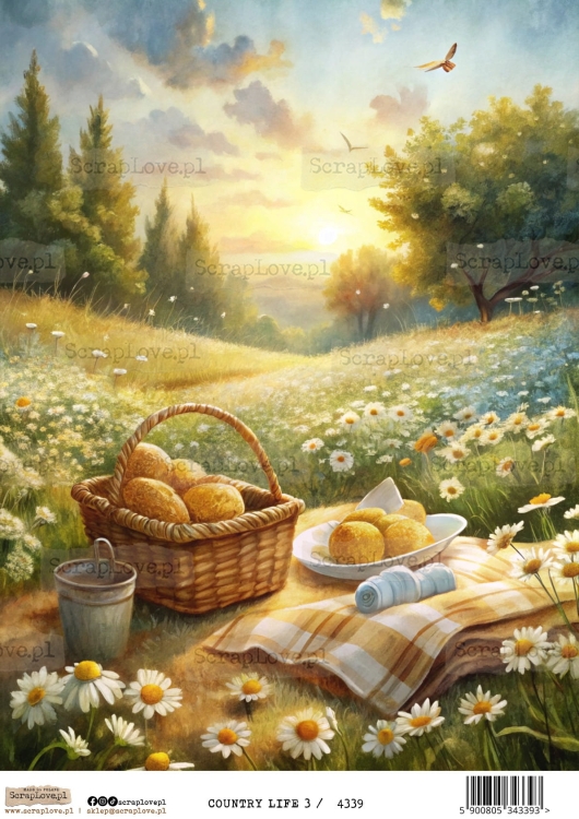country life 3-1.jpg