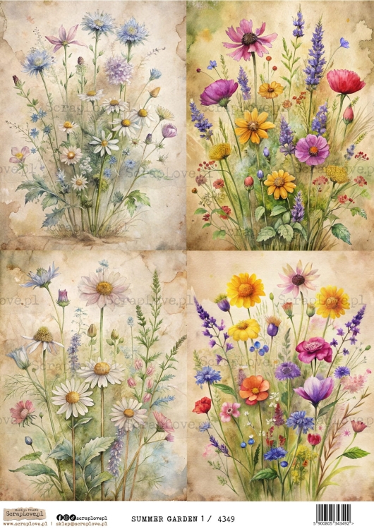 summer garden 1-1.jpg
