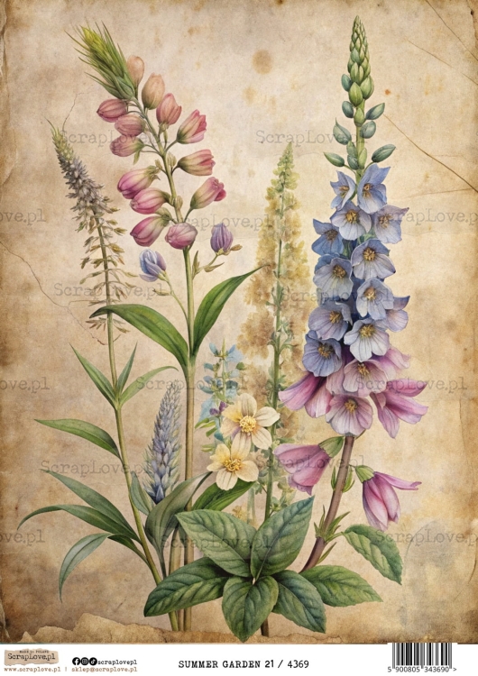 summer garden 21-1.jpg