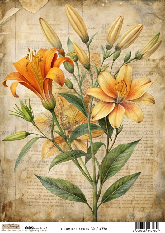 summer garden 30-1.jpg
