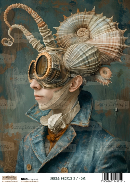 shell people 2 :4382-1.jpg