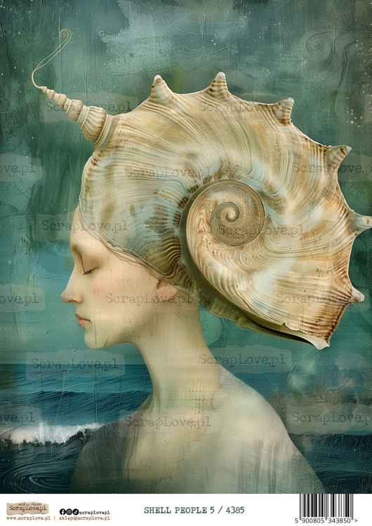 shell people 5 :4385-1.jpg