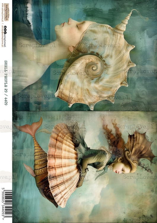 shell people 29 :4409-1.jpg