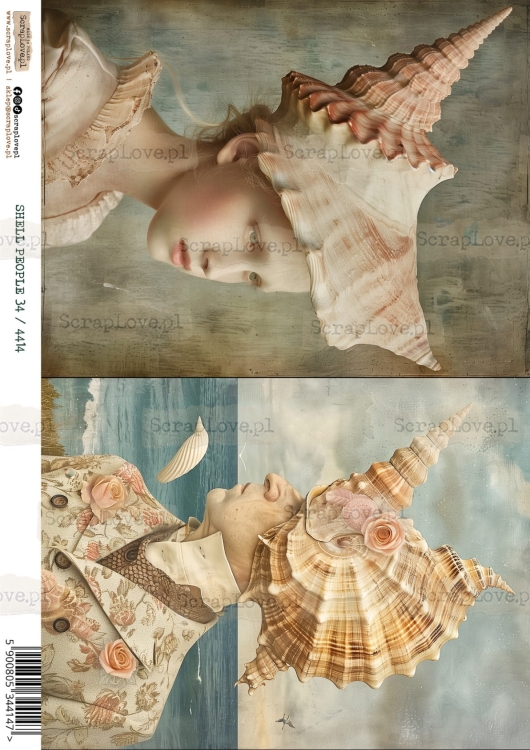 shell people 34 :4414-1.jpg