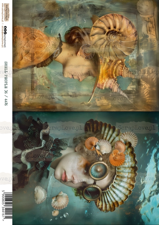 shell people 36 :4416-1.jpg