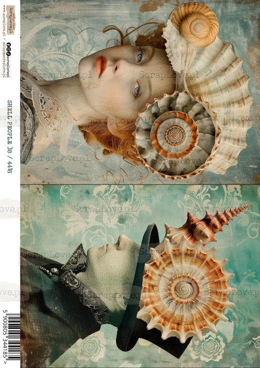 shell people 38 :4418-1.jpg