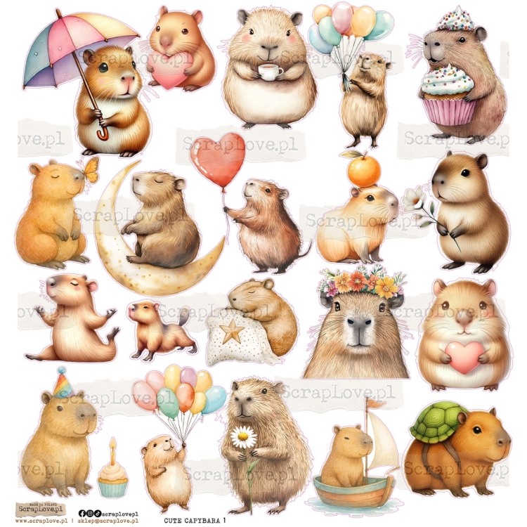 cute capybara 1-1.jpg