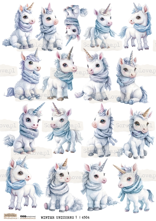 winter uniconrs 1-1.jpg