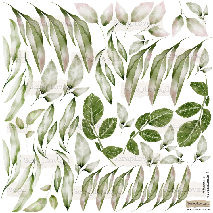 wiosenne wspomnienia 4.jpg