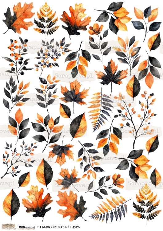 halloween fall 1 | 4526-1.jpg