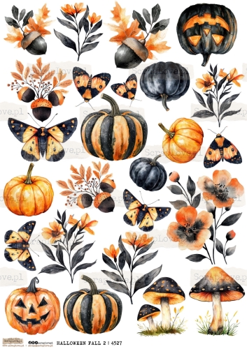 halloween fall 2 | 4527-1.jpg