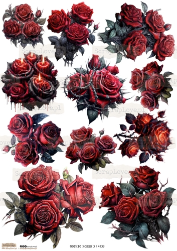 gothic roses 3 \ 4539-1.jpg
