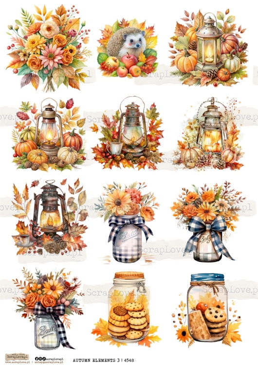 autumn elements 3 | 4548-1.jpg