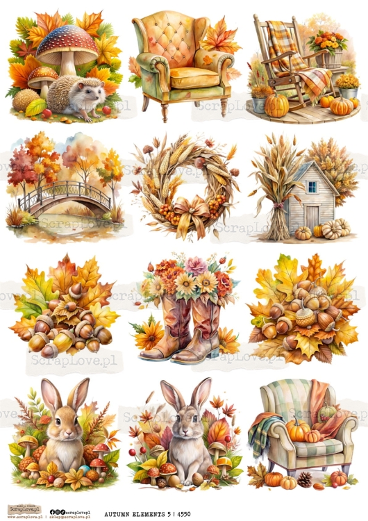 autumn elements 5 | 4550-1.jpg