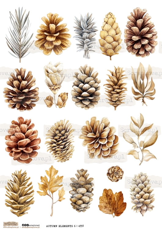 autumn elements 6 | 4551-1.jpg