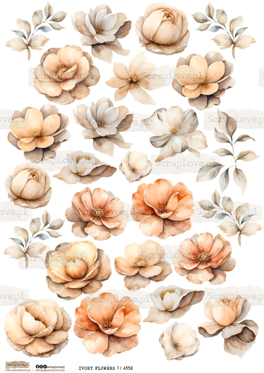 ivory flowers 1 | 4552-1.jpg