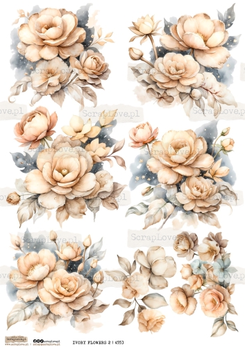 ivory flowers 2 | 4553-1.jpg