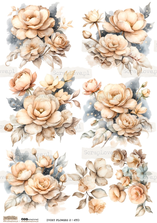 ivory flowers 2 | 4553-1.jpg