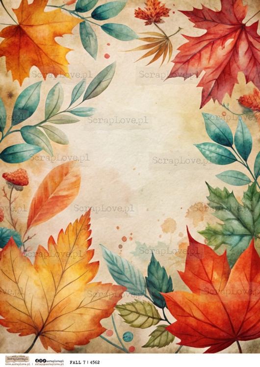 fall 7 | 4562-1.jpg