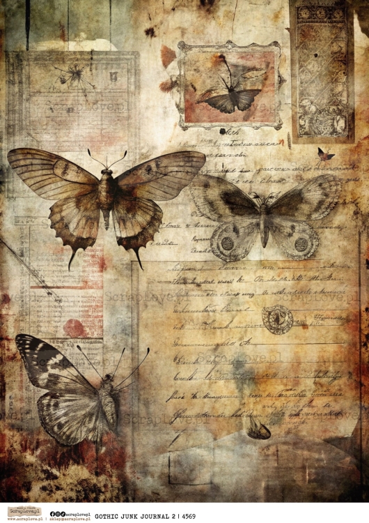 gothic junk journal 2 | 4569-1.jpg