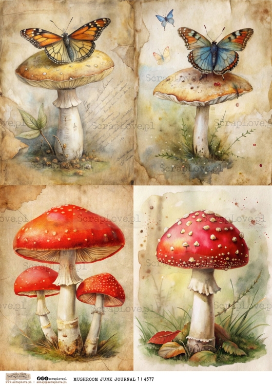 mushroom junk journal 1 | 4577-1.jpg