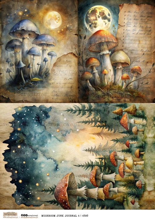 mushroom junk journal 4 | 4580-1.jpg