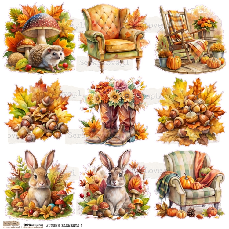 autumn elements 5.jpg