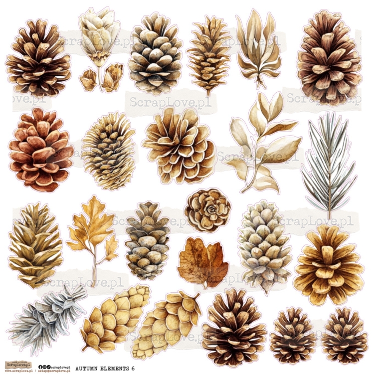 autumn elements 6.jpg