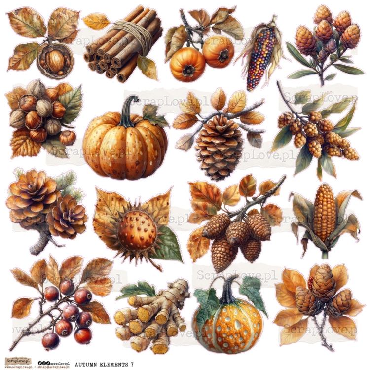 autumn elements 7.jpg