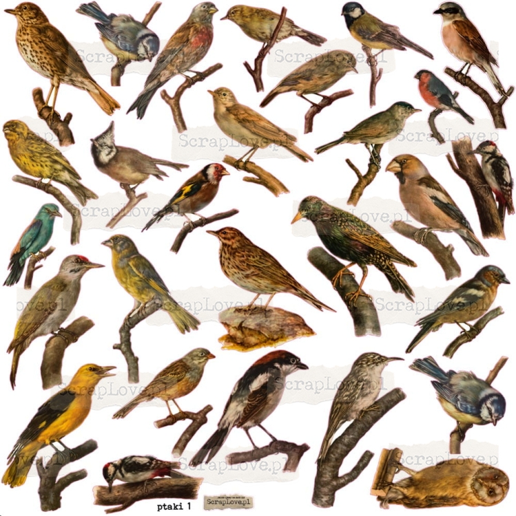 Screenshot at Apr 21 20-47-27.jpeg