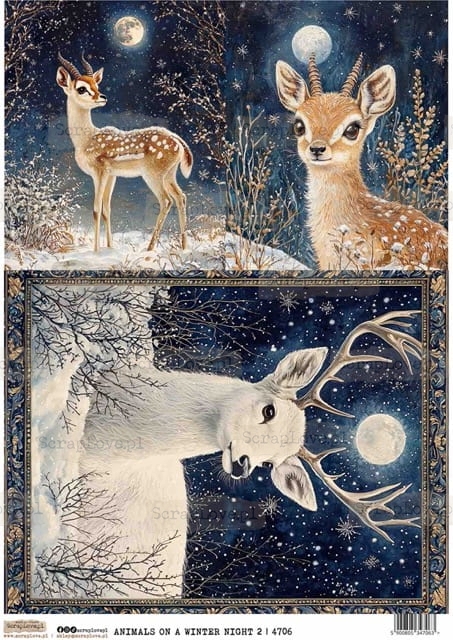 ANIMALS ON A WINTER NIGHT 2-1 Średni.jpeg