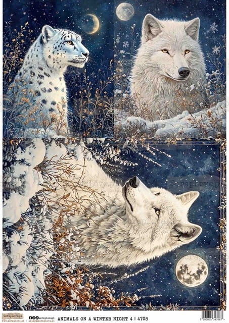 ANIMALS ON A WINTER NIGHT 4-1 Średni.jpeg