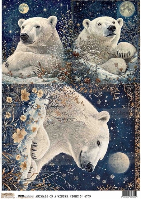 ANIMALS ON A WINTER NIGHT 5-1 Średni.jpeg