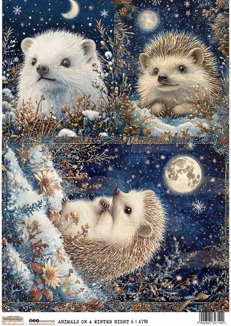 ANIMALS ON A WINTER NIGHT 6-1 Średni.jpeg