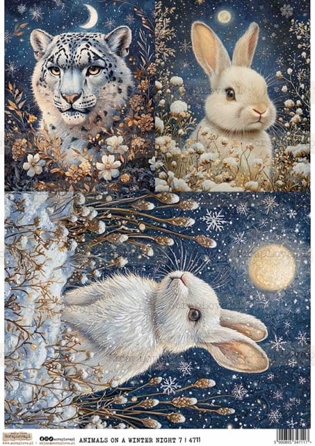 ANIMALS ON A WINTER NIGHT 7-1 Średni.jpeg