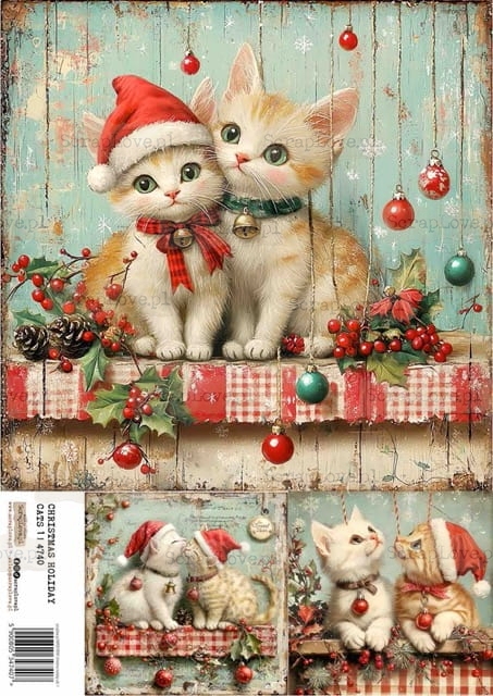 christmas holiday cats 1-1 Średni.jpeg
