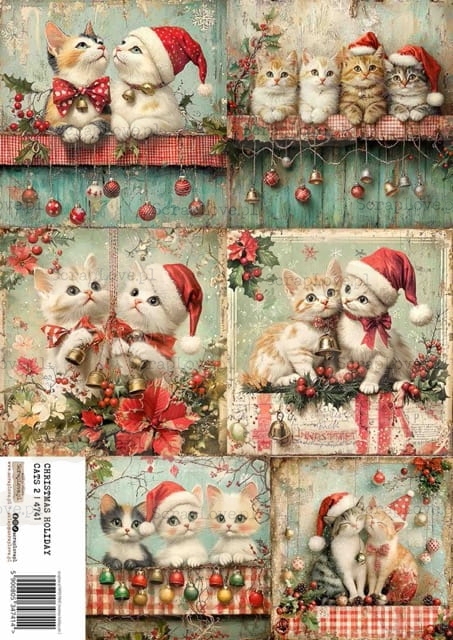 christmas holiday cats 2-1 Średni.jpeg