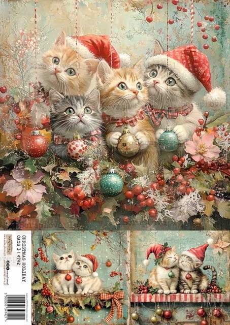 christmas holiday cats 3-1 Średni.jpeg