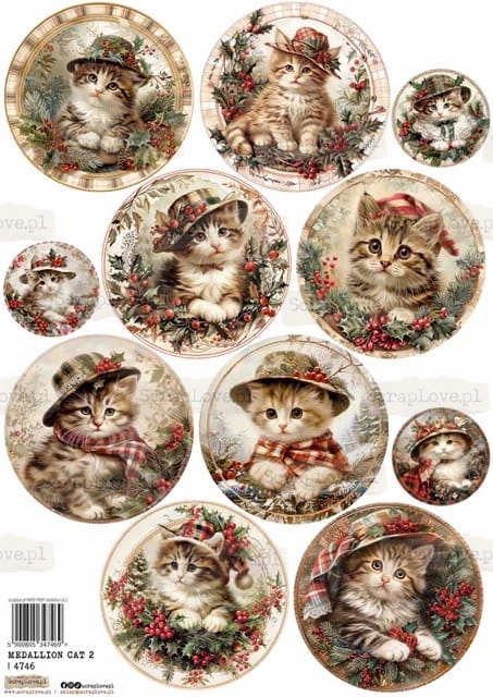 medallion cat 2-1 Średni.jpeg